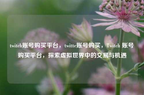 twitch账号购买平台，twitte账号购买，Twitch 账号购买平台	，探索虚拟世界中的交易与机遇  第1张