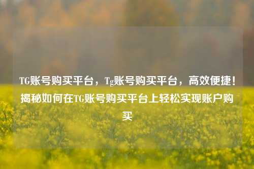TG账号购买平台，Tg账号购买平台，高效便捷！揭秘如何在TG账号购买平台上轻松实现账户购买