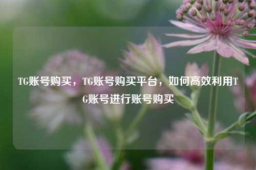 TG账号购买，TG账号购买平台，如何高效利用TG账号进行账号购买