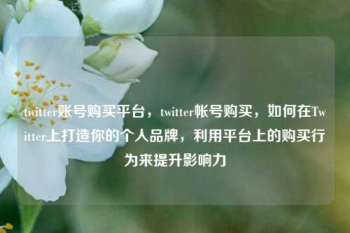 twitter账号购买平台，twitter帐号购买，如何在Twitter上打造你的个人品牌，利用平台上的购买行为来提升影响力