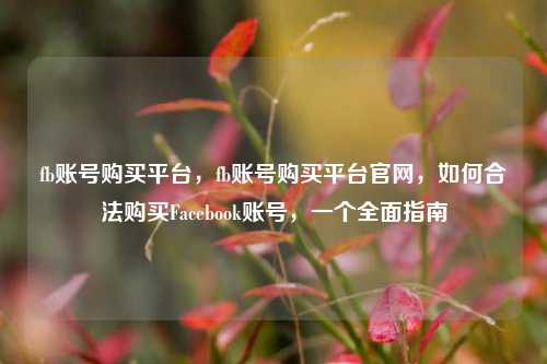 fb账号购买平台，fb账号购买平台官网，如何合法购买Facebook账号，一个全面指南