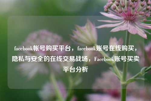 facebook帐号购买平台，facebook账号在线购买，隐私与安全的在线交易战场，Facebook账号买卖平台分析