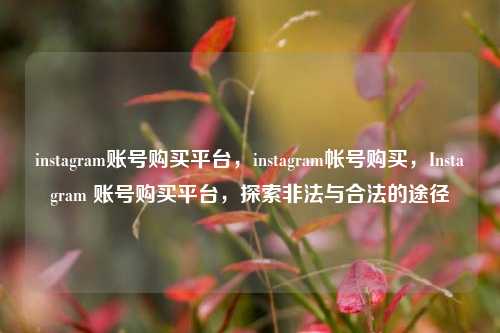 instagram账号购买平台，instagram帐号购买，Instagram 账号购买平台，探索非法与合法的途径