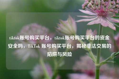 tiktok账号购买平台，tiktok账号购买平台的资金安全吗，TikTok 账号购买平台，揭秘非法交易的陷阱与风险