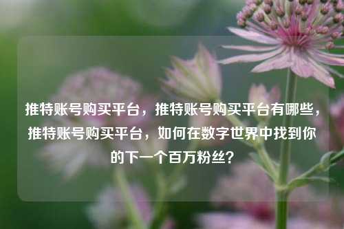 推特账号购买平台，推特账号购买平台有哪些，推特账号购买平台，如何在数字世界中找到你的下一个百万粉丝？
