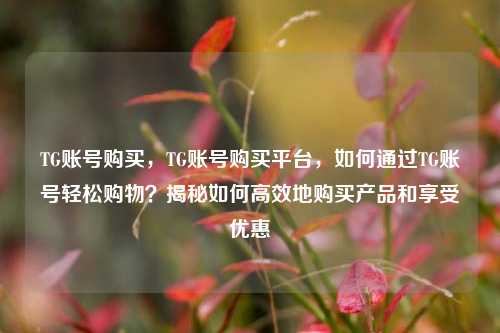 TG账号购买，TG账号购买平台，如何通过TG账号轻松购物？揭秘如何高效地购买产品和享受优惠