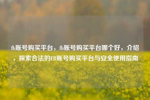 fb账号购买平台，fb账号购买平台哪个好，介绍，探索合法的FB账号购买平台与安全使用指南