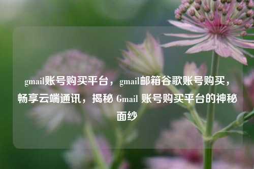 gmail账号购买平台，gmail邮箱谷歌账号购买，畅享云端通讯，揭秘 Gmail 账号购买平台的神秘面纱