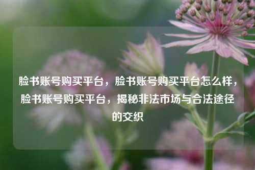 脸书账号购买平台，脸书账号购买平台怎么样，脸书账号购买平台，揭秘非法市场与合法途径的交织