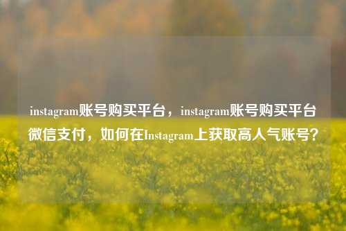 instagram账号购买平台，instagram账号购买平台微信支付，如何在Instagram上获取高人气账号？