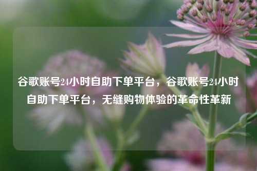 谷歌账号24小时自助下单平台，谷歌账号24小时自助下单平台，无缝购物体验的革命性革新