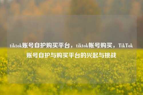 tiktok账号自护购买平台，tiktok帐号购买，TikTok账号自护与购买平台的兴起与挑战