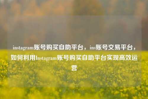 instagram账号购买自助平台，ins账号交易平台，如何利用Instagram账号购买自助平台实现高效运营