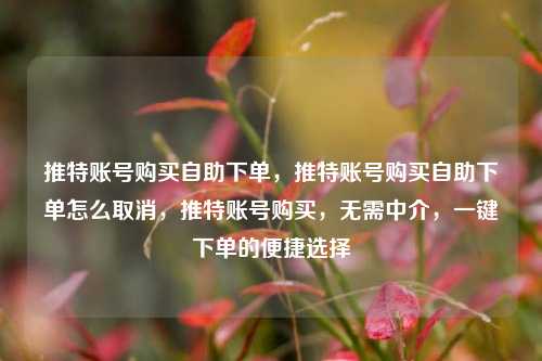 推特账号购买自助下单，推特账号购买自助下单怎么取消，推特账号购买，无需中介，一键下单的便捷选择