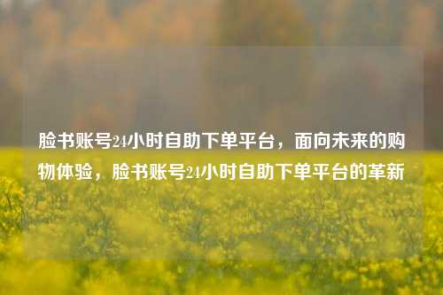 脸书账号24小时自助下单平台，面向未来的购物体验，脸书账号24小时自助下单平台的革新