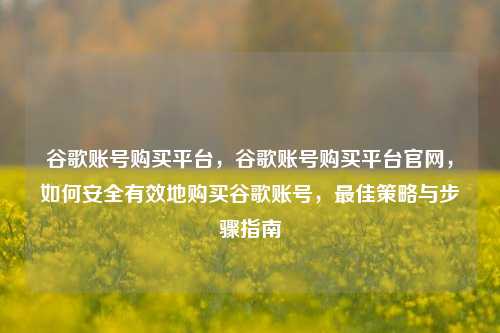 谷歌账号购买平台，谷歌账号购买平台官网，如何安全有效地购买谷歌账号，最佳策略与步骤指南