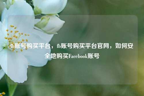 fb账号购买平台，fb账号购买平台官网	，如何安全地购买Facebook账号  第1张