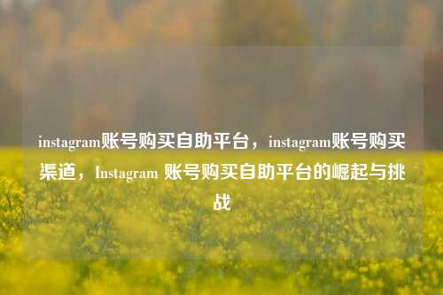 instagram账号购买自助平台，instagram账号购买渠道，Instagram 账号购买自助平台的崛起与挑战