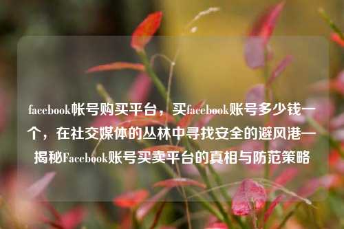 facebook帐号购买平台，买facebook账号多少钱一个	，在社交媒体的丛林中寻找安全的避风港—揭秘Facebook账号买卖平台的真相与防范策略  第1张
