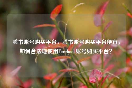 脸书账号购买平台，脸书账号购买平台便宜，如何合法地使用Facebook账号购买平台？