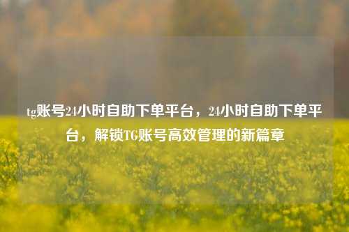 tg账号24小时自助下单平台，24小时自助下单平台，解锁TG账号高效管理的新篇章