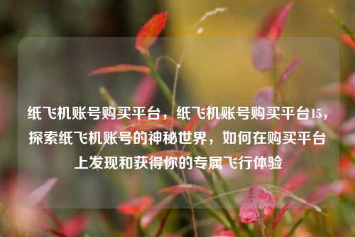 纸飞机账号购买平台，纸飞机账号购买平台15，探索纸飞机账号的神秘世界，如何在购买平台上发现和获得你的专属飞行体验