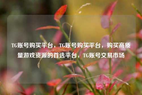 TG账号购买平台，TG账号购买平台，购买高质量游戏资源的首选平台，TG账号交易市场