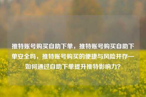推特账号购买自助下单，推特账号购买自助下单安全吗，推特账号购买的便捷与风险并存—如何通过自助下单提升推特影响力？