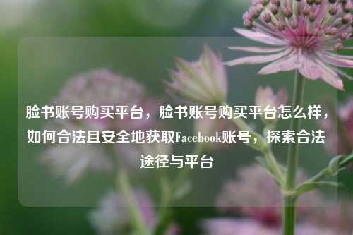 脸书账号购买平台，脸书账号购买平台怎么样，如何合法且安全地获取Facebook账号，探索合法途径与平台