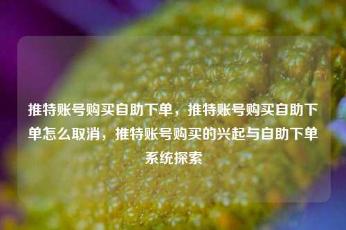 推特账号购买自助下单，推特账号购买自助下单怎么取消，推特账号购买的兴起与自助下单系统探索