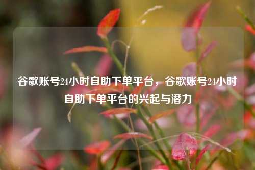 谷歌账号24小时自助下单平台，谷歌账号24小时自助下单平台的兴起与潜力