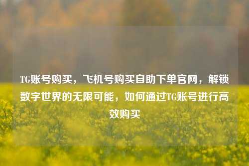 TG账号购买	，飞机号购买自助下单官网，解锁数字世界的无限可能，如何通过TG账号进行高效购买  第1张