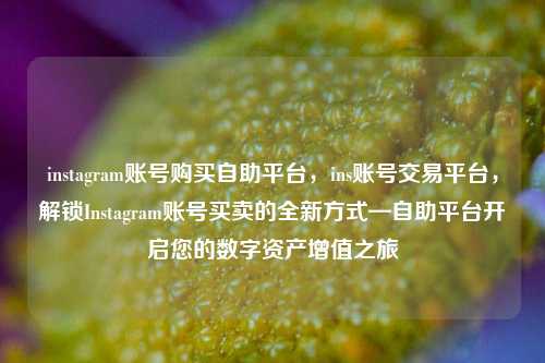 instagram账号购买自助平台，ins账号交易平台，解锁Instagram账号买卖的全新方式—自助平台开启您的数字资产增值之旅
