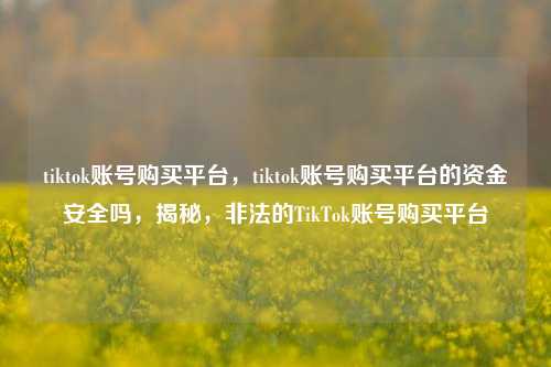 tiktok账号购买平台，tiktok账号购买平台的资金安全吗，揭秘，非法的TikTok账号购买平台