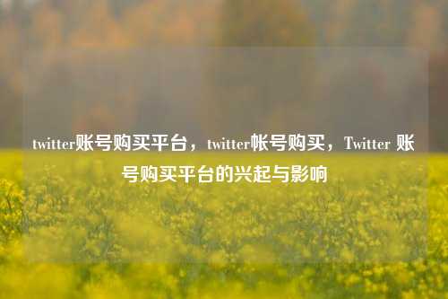 twitter账号购买平台，twitter帐号购买，Twitter 账号购买平台的兴起与影响