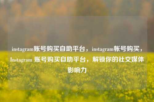 instagram账号购买自助平台，instagram帐号购买，Instagram 账号购买自助平台，解锁你的社交媒体影响力