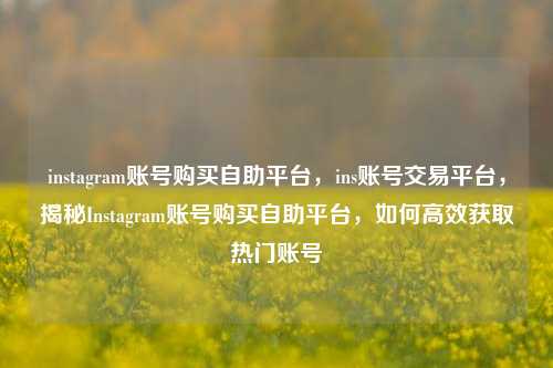 instagram账号购买自助平台，ins账号交易平台，揭秘Instagram账号购买自助平台，如何高效获取热门账号