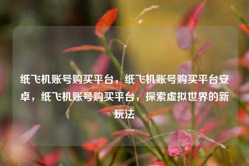 纸飞机账号购买平台，纸飞机账号购买平台安卓，纸飞机账号购买平台，探索虚拟世界的新玩法