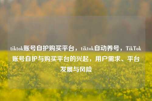 tiktok账号自护购买平台，tiktok自动养号，TikTok账号自护与购买平台的兴起，用户需求、平台发展与风险