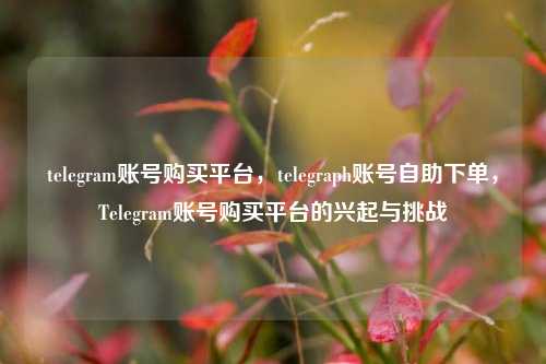 telegram账号购买平台，telegraph账号自助下单，Telegram账号购买平台的兴起与挑战