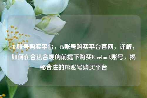 fb账号购买平台，fb账号购买平台官网，详解，如何在合法合规的前提下购买Facebook账号，揭秘合法的FB账号购买平台