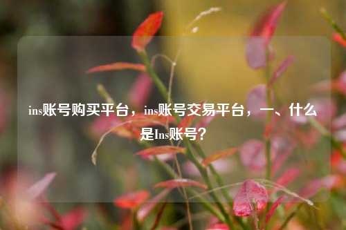 ins账号购买平台，ins账号交易平台，一、什么是Ins账号？