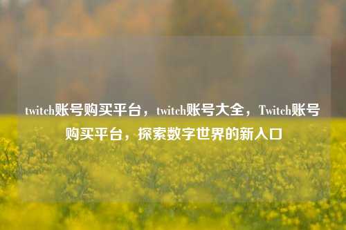 twitch账号购买平台，twitch账号大全，Twitch账号购买平台，探索数字世界的新入口