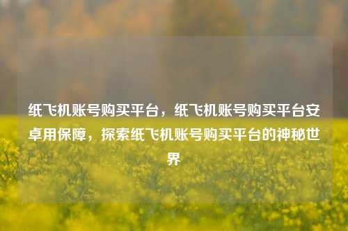 纸飞机账号购买平台，纸飞机账号购买平台安卓用保障，探索纸飞机账号购买平台的神秘世界