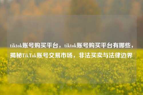 tiktok账号购买平台，tiktok账号购买平台有哪些，揭秘TikTok账号交易市场，非法买卖与法律边界