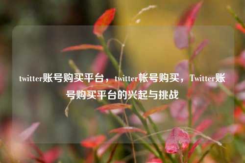 twitter账号购买平台，twitter帐号购买，Twitter账号购买平台的兴起与挑战