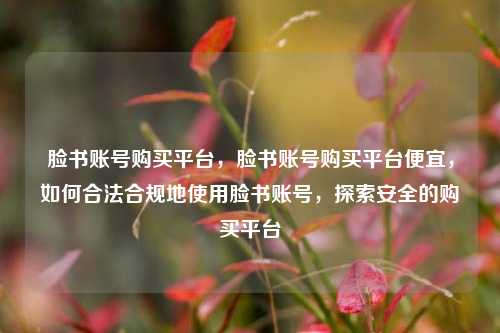 脸书账号购买平台，脸书账号购买平台便宜，如何合法合规地使用脸书账号，探索安全的购买平台