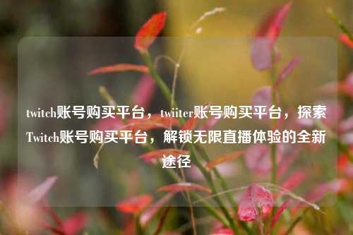 twitch账号购买平台，twiiter账号购买平台，探索Twitch账号购买平台，解锁无限直播体验的全新途径