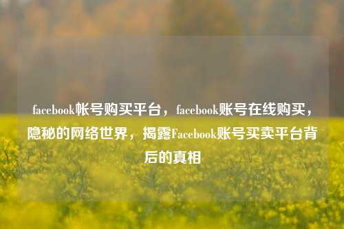 facebook帐号购买平台，facebook账号在线购买，隐秘的网络世界，揭露Facebook账号买卖平台背后的真相