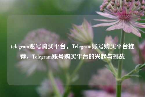 telegram账号购买平台，Telegram账号购买平台推荐，Telegram账号购买平台的兴起与挑战